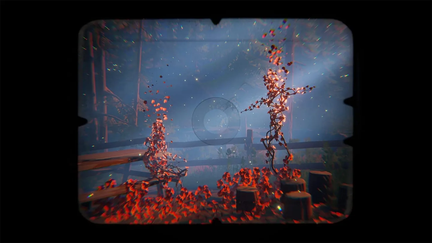 Petal silhouettes revealed inside the camera viewfinder