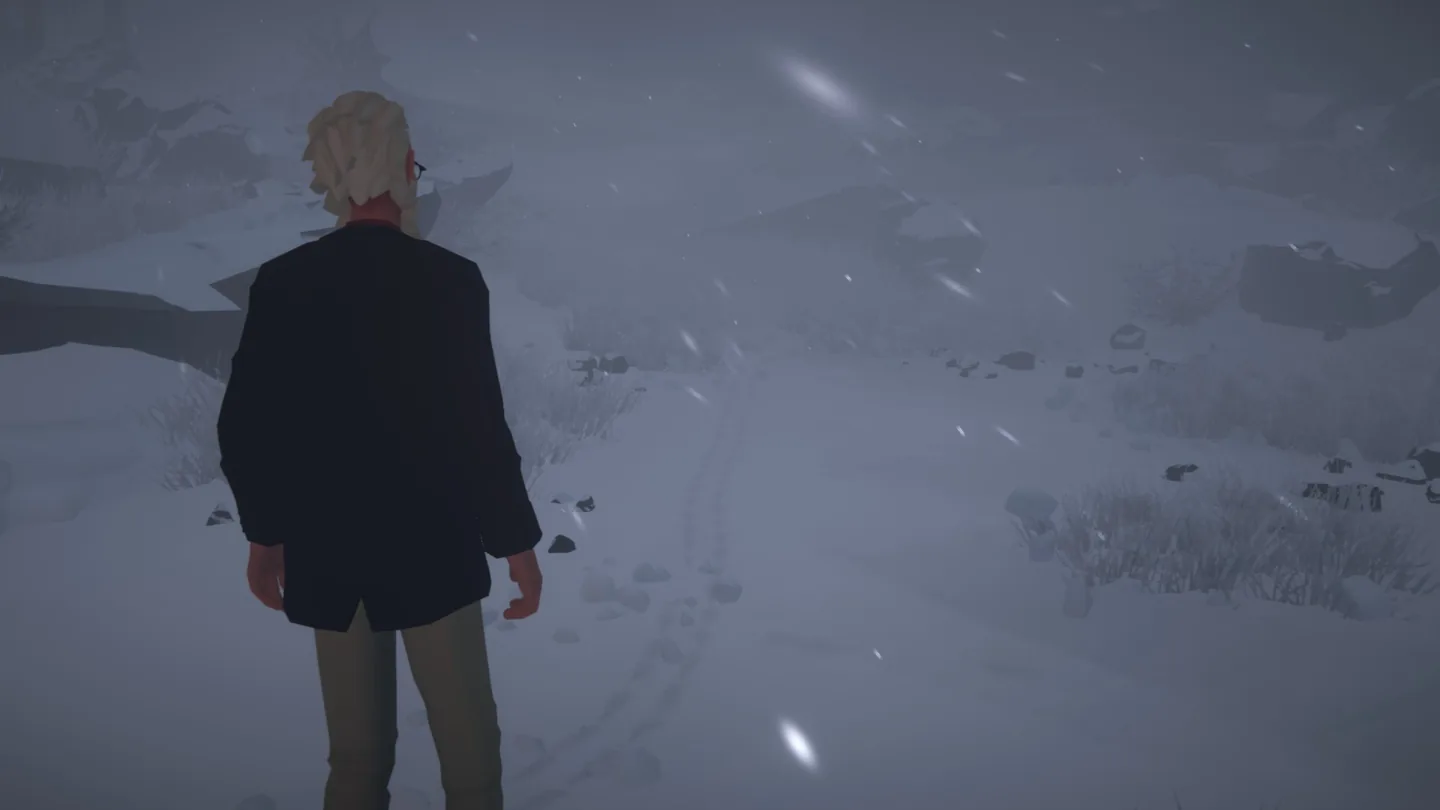 Alfred facing the snowy path during the search for his dog